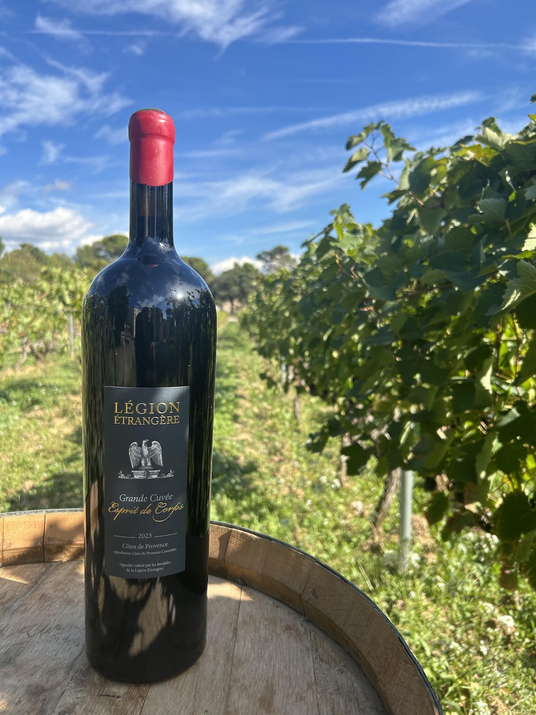 Vin Magnum Esprit de corps rouge