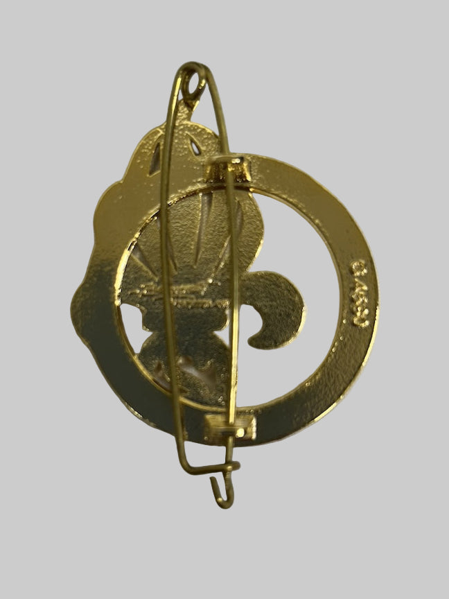 Badge of the 2nd Foreign Infantry Regiment - Nîmes