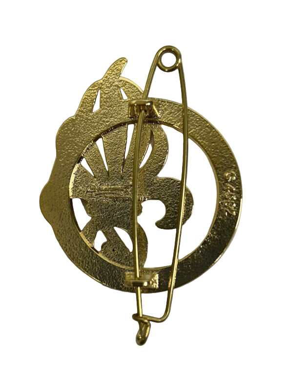 Insigne 4ème Régiment étranger - Castelnaudary