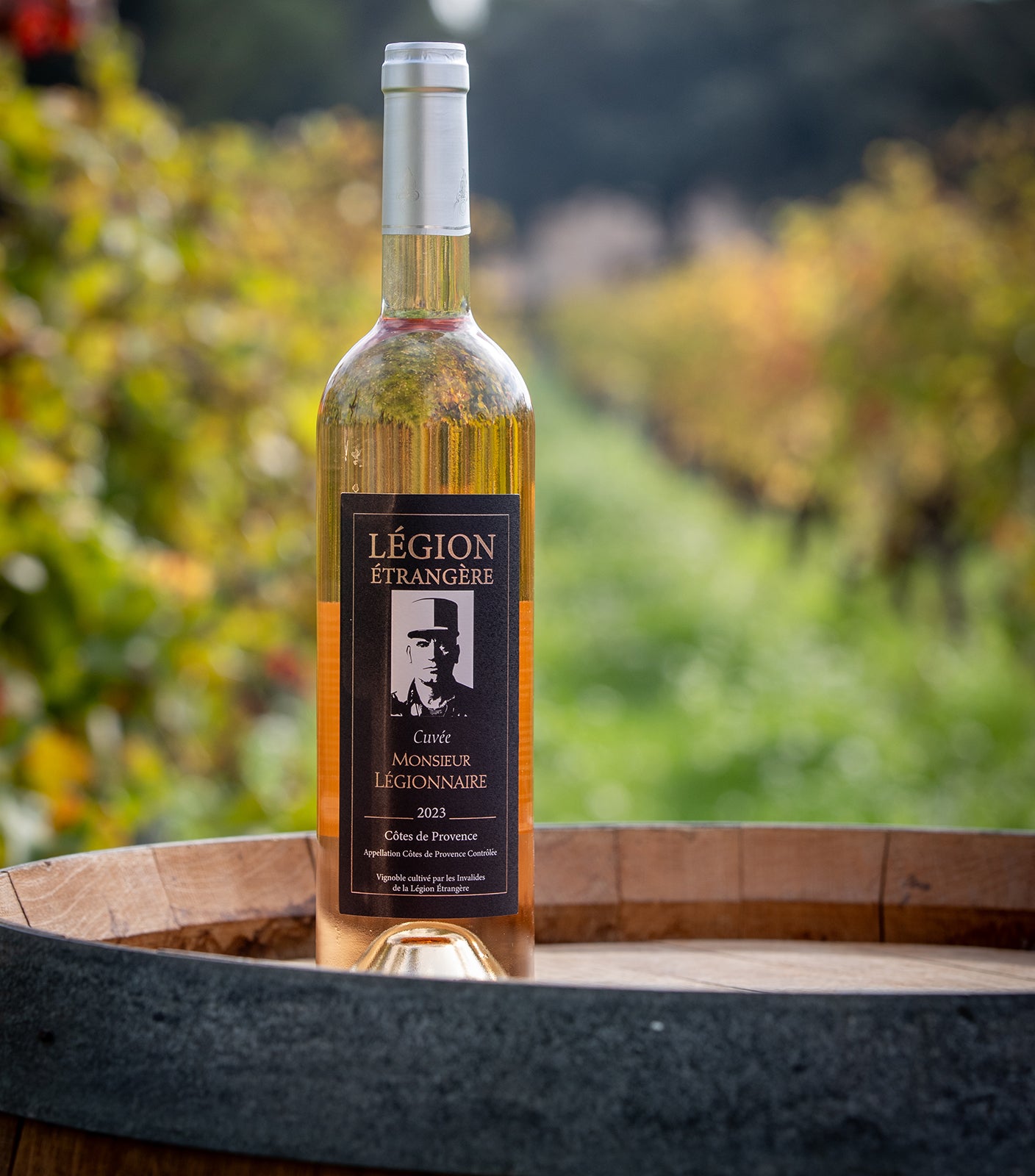 Vin Monsieur Légionnaire Rosé