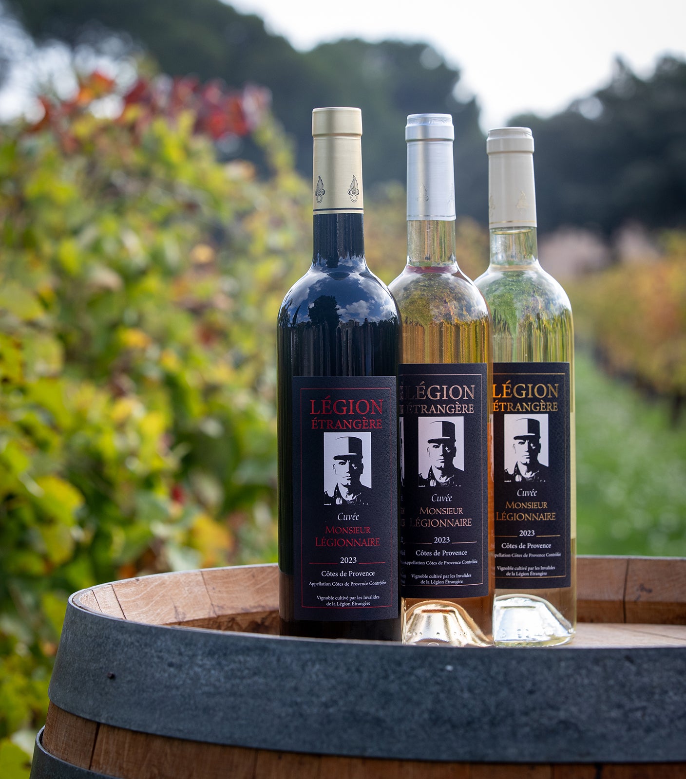 Vin Monsieur Légionnaire Rosé