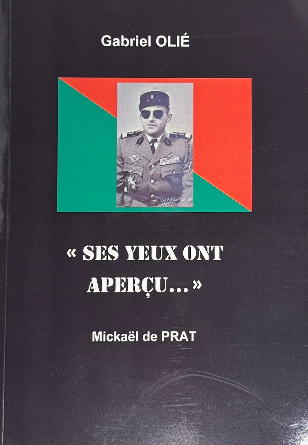 Ses yeux ont aperçu...